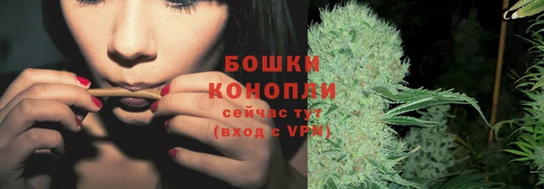 молекула духа Горняк