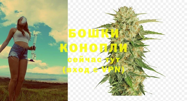 шишки Абдулино